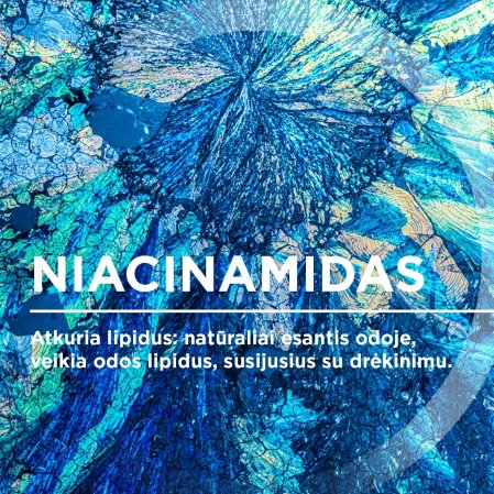 Niacinamidas Niacinamidas