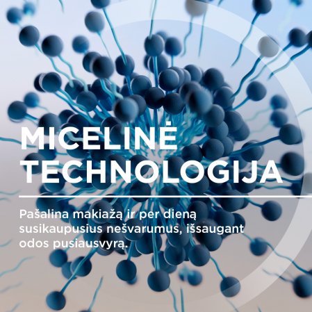 Micelinė technologija